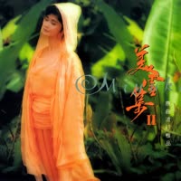 美雪集II·原曲流行极品